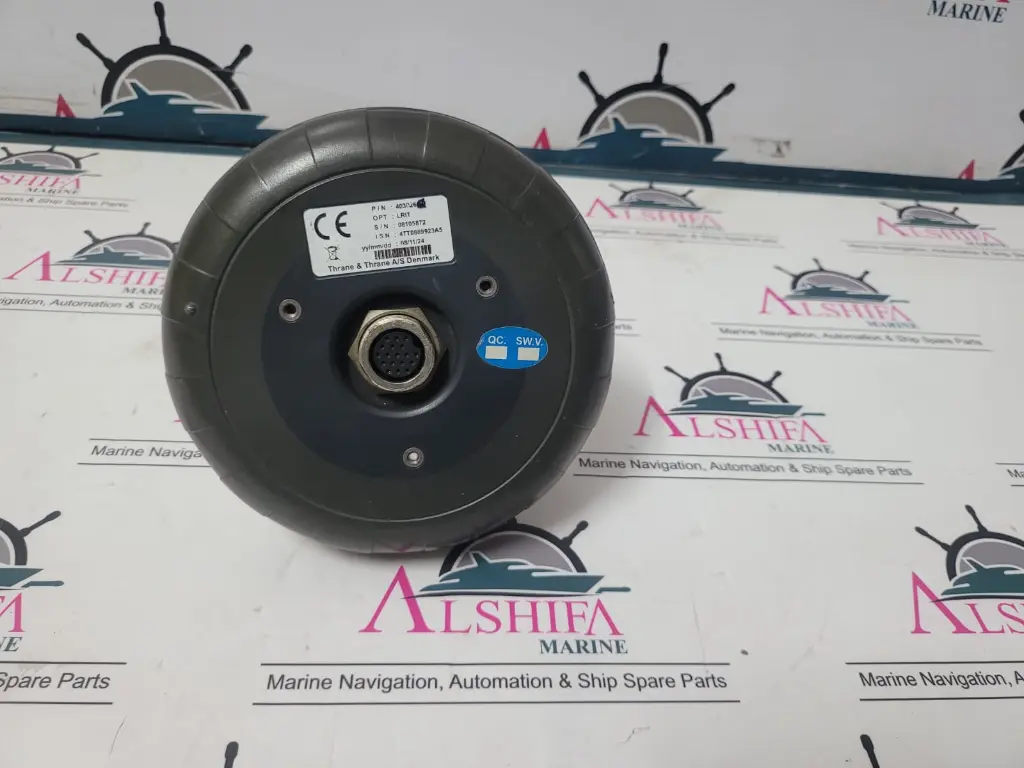 WhatsApp Image 2025-01-01 at 12.52.24 PM (1).webp