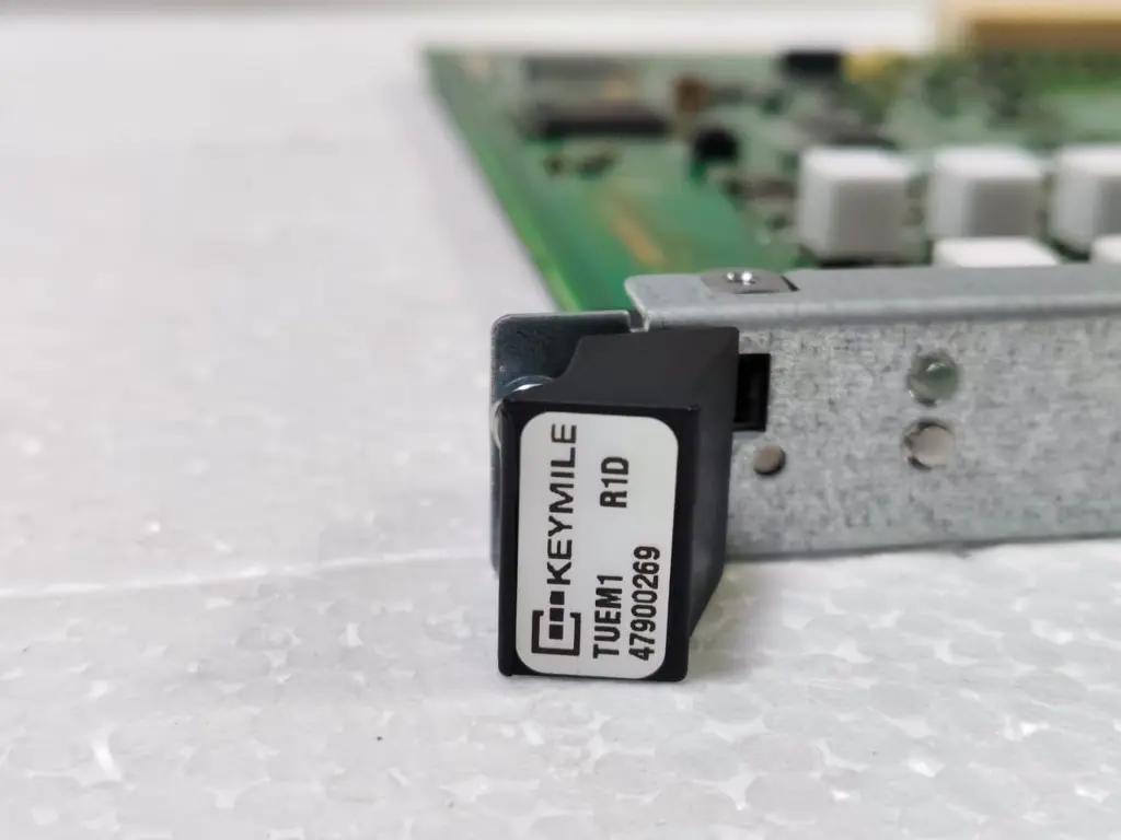 WhatsApp Image 2025-09-13 at 4.30.18 PM.webp