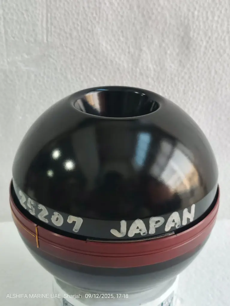 WhatsApp Image 2025-09-15 at 4.30.48 PM.webp