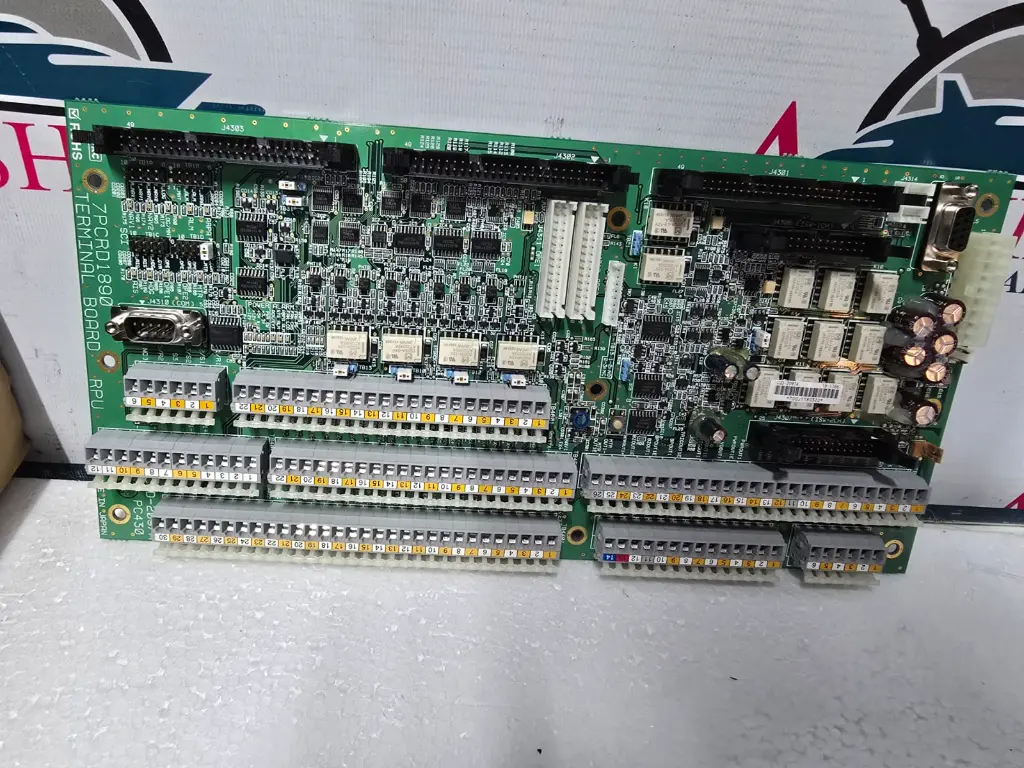 WhatsApp Image 2025-09-29 at 5.02.29 PM.webp