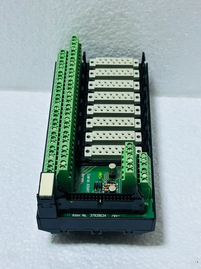 WhatsApp Image 2025-07-21 at 4.17.01 PM.webp