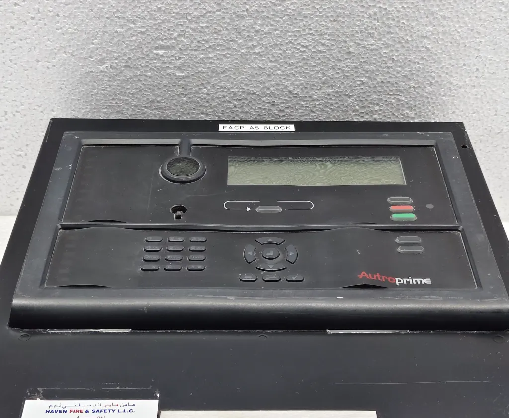 IMG_20260216_140925.webp